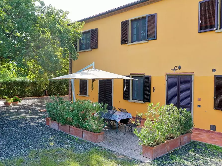 Immagine 11 di Agriturismo in vendita  a Rosignano Marittimo