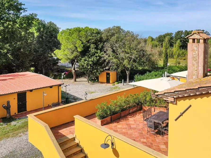 Immagine 18 di Agriturismo in vendita  a Rosignano Marittimo