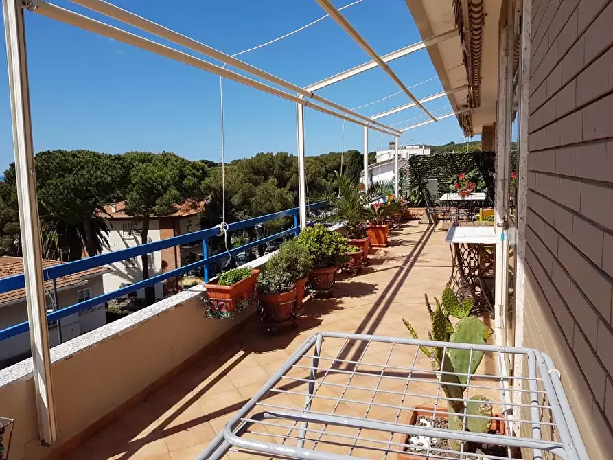 Immagine 2 di Mansarda in vendita  a Rosignano Marittimo