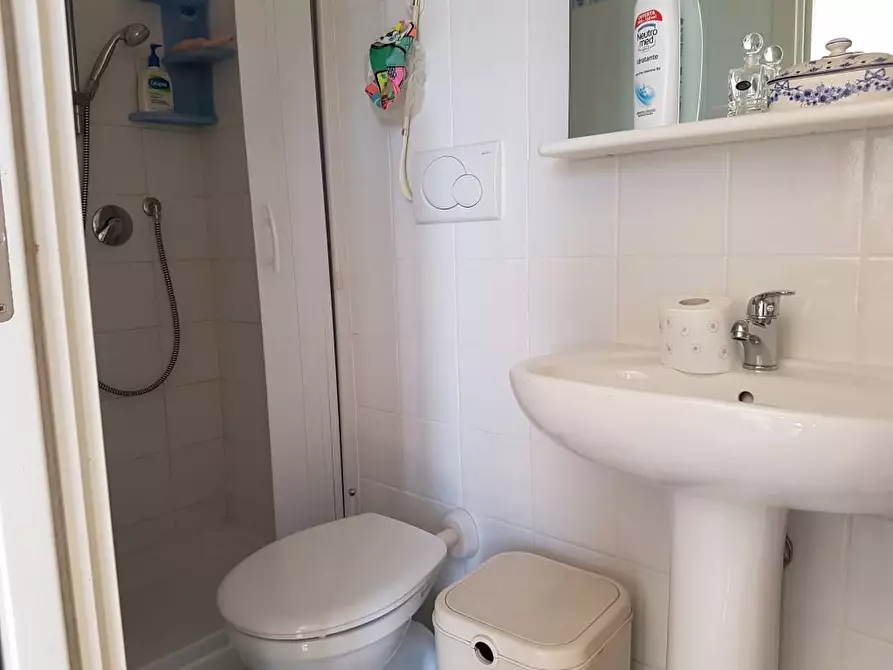 Immagine 16 di Mansarda in vendita  a Rosignano Marittimo