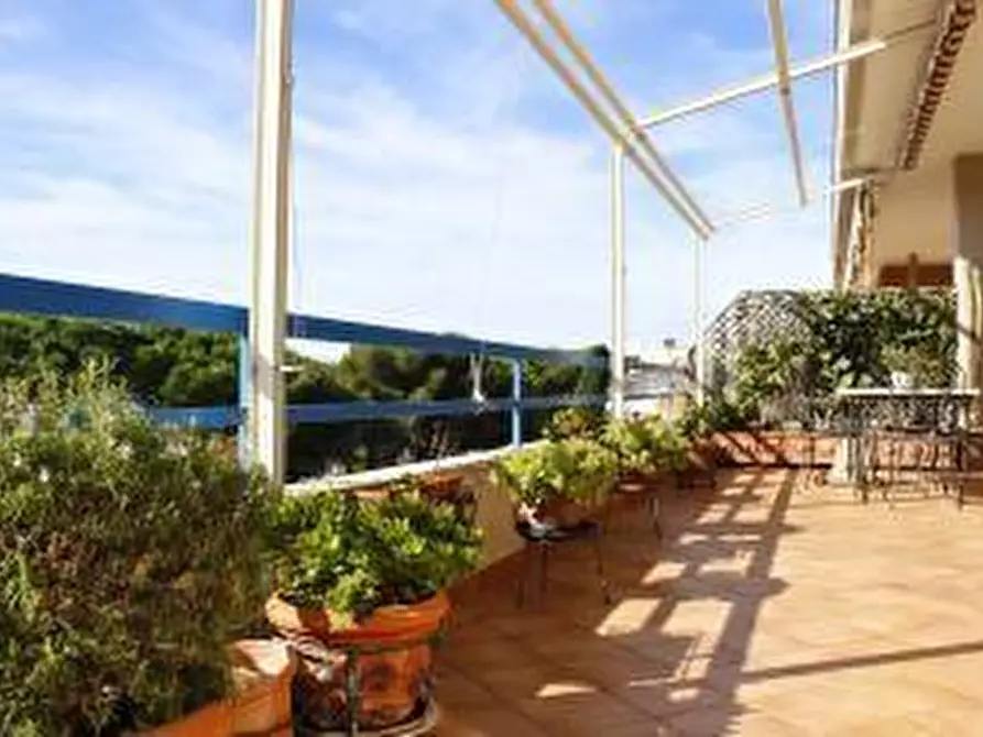 Immagine 4 di Mansarda in vendita  a Rosignano Marittimo