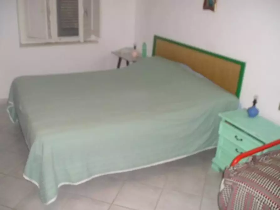 Immagine 5 di Appartamento in affitto  a Rosignano Marittimo