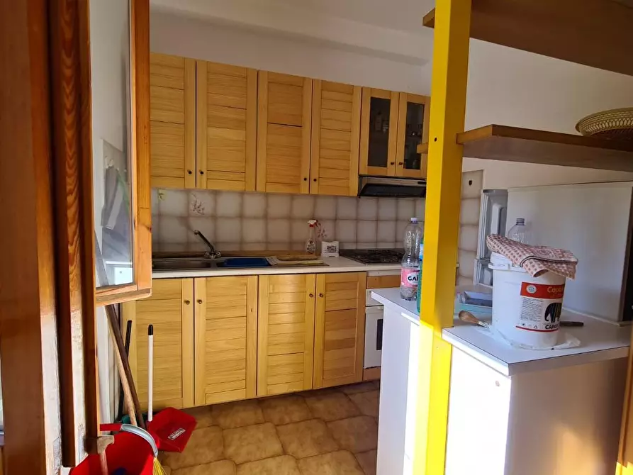 Immagine 15 di Appartamento in affitto  a Rosignano Marittimo