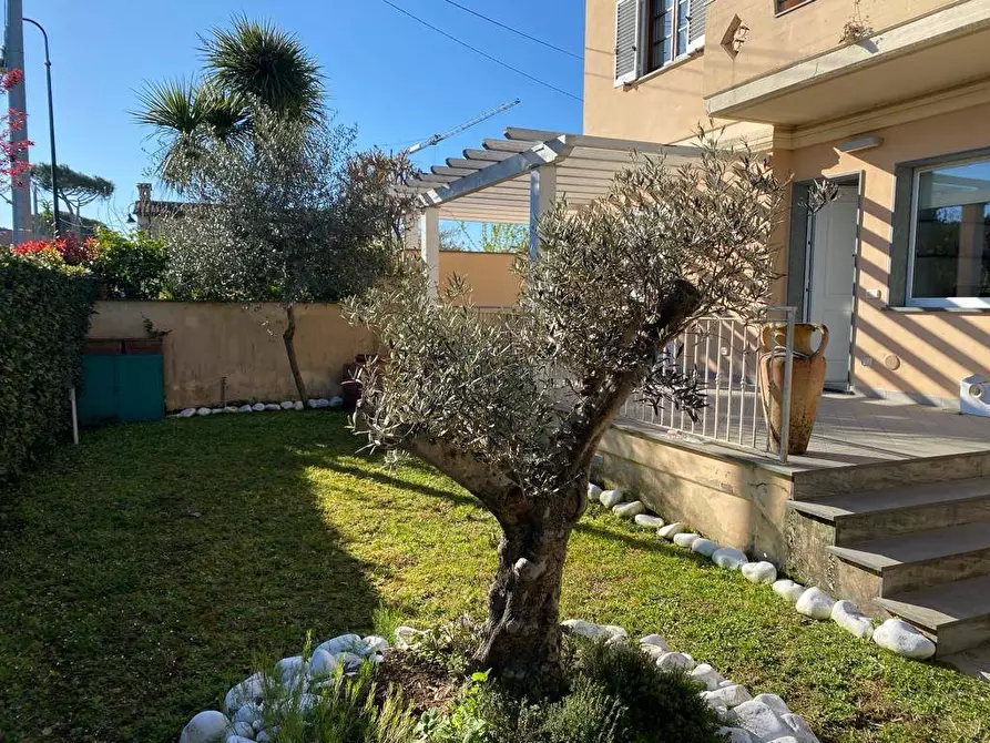 Immagine 3 di Appartamento in vendita  a Montignoso