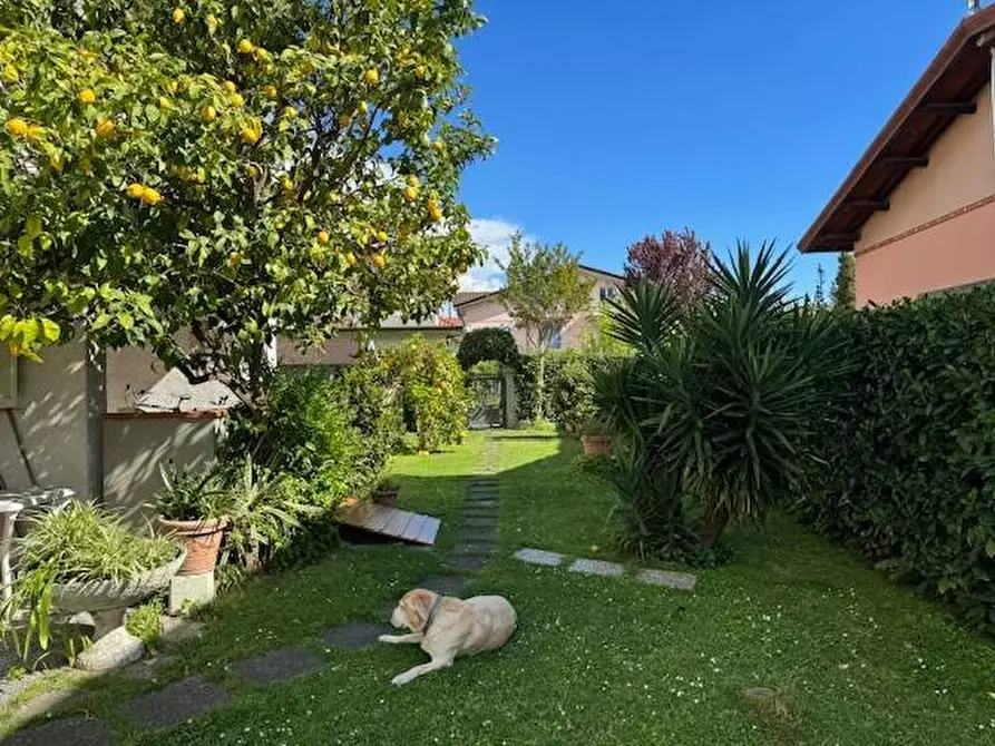 Immagine 23 di Villa in vendita  a Massa
