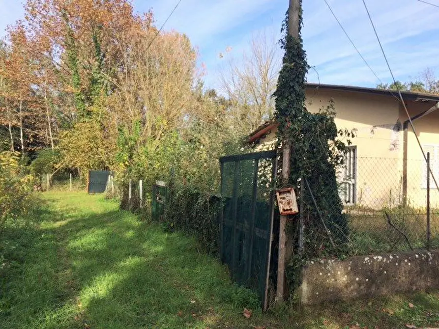 Immagine 4 di Villa in vendita  a Massa