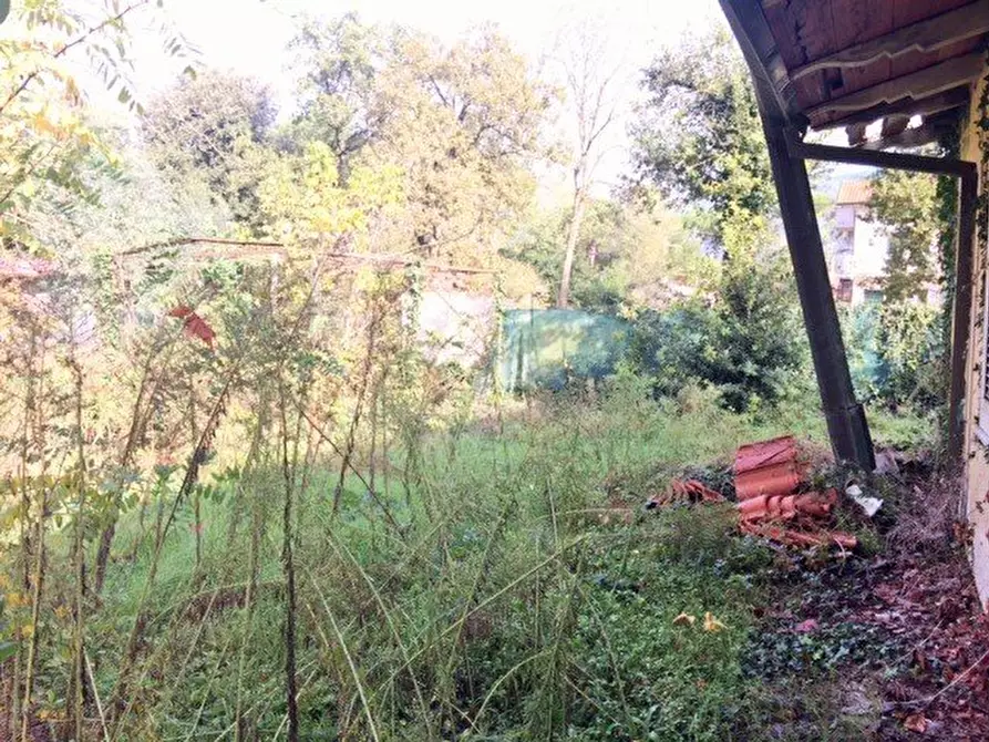 Immagine 14 di Villa in vendita  a Massa