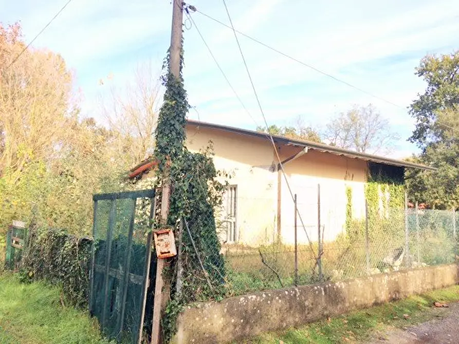 Immagine 3 di Villa in vendita  a Massa