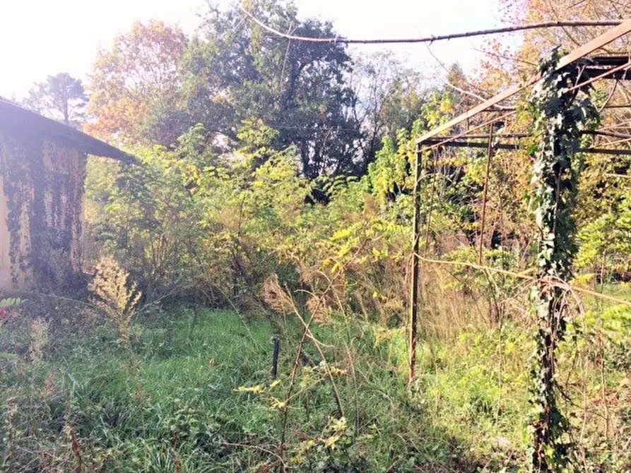 Immagine 13 di Villa in vendita  a Massa