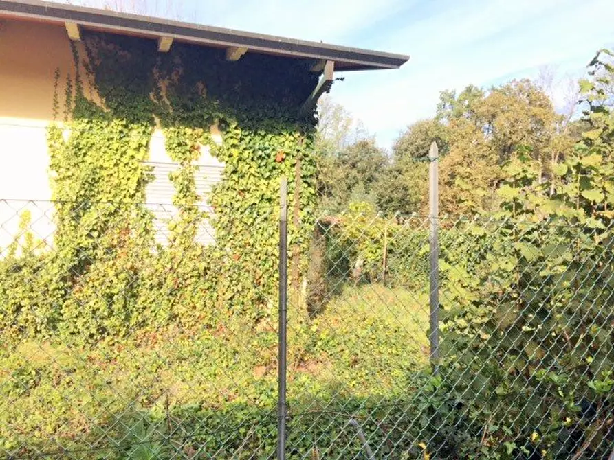 Immagine 6 di Villa in vendita  a Massa