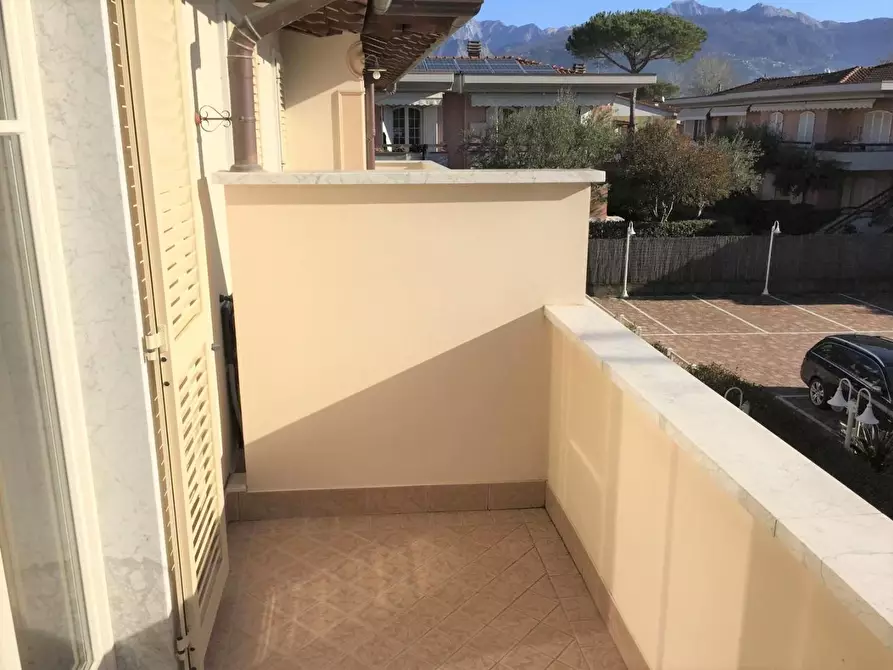 Immagine 12 di Appartamento in affitto  a Massa