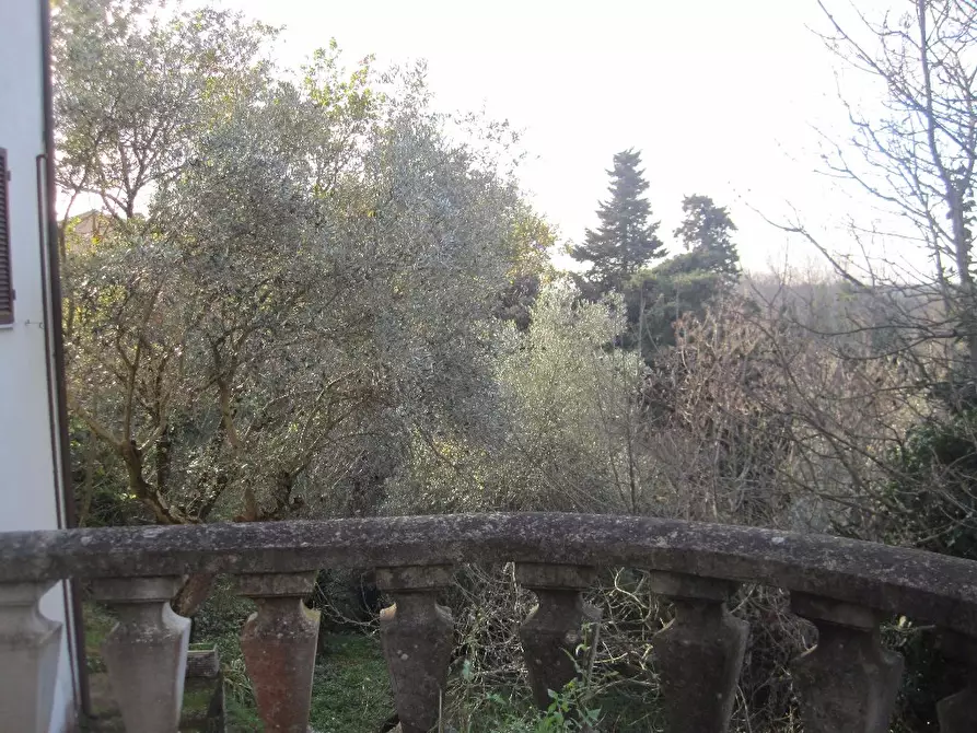 Immagine 5 di Villa in vendita  a San Giuliano Terme