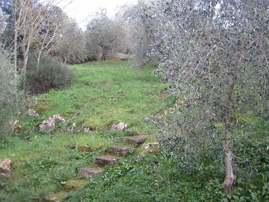 Immagine 30 di Villa in vendita  a San Giuliano Terme