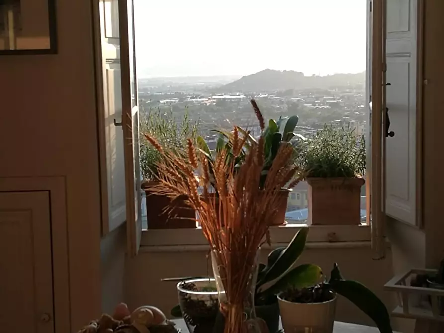 Immagine 4 di Appartamento in vendita  a Massa