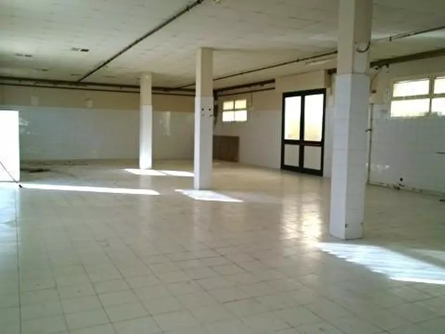 Immagine 5 di Capannone industriale in affitto  a Ponsacco