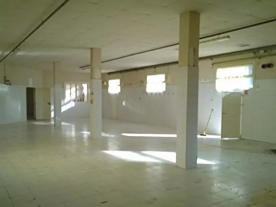 Immagine 6 di Capannone industriale in affitto  a Ponsacco