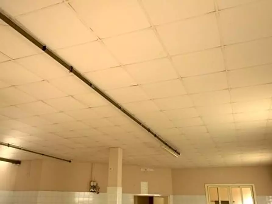 Immagine 3 di Capannone industriale in affitto  a Ponsacco