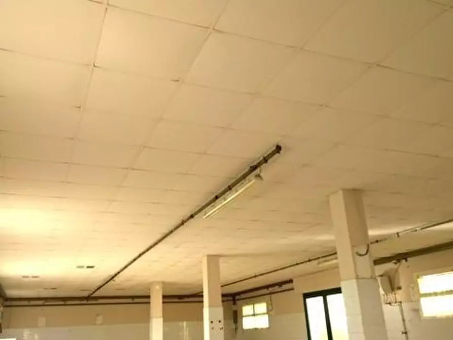Immagine 4 di Capannone industriale in affitto  a Ponsacco