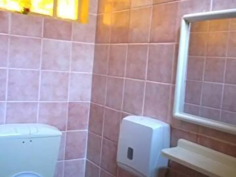 Immagine 10 di Capannone industriale in affitto  a Ponsacco