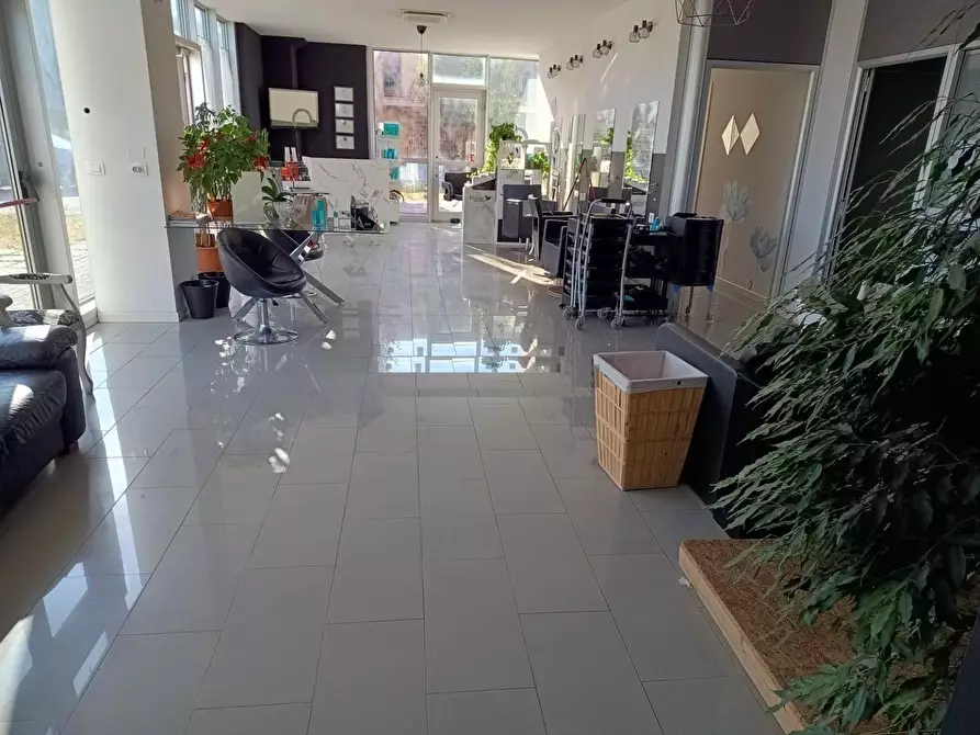 Immagine 3 di Locale commerciale in affitto  a Pisa