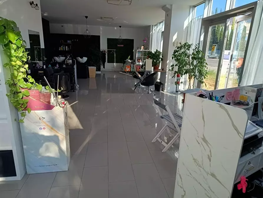 Immagine 4 di Locale commerciale in affitto  a Pisa