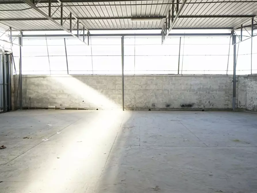 Immagine 7 di Magazzino in affitto  a San Giuliano Terme