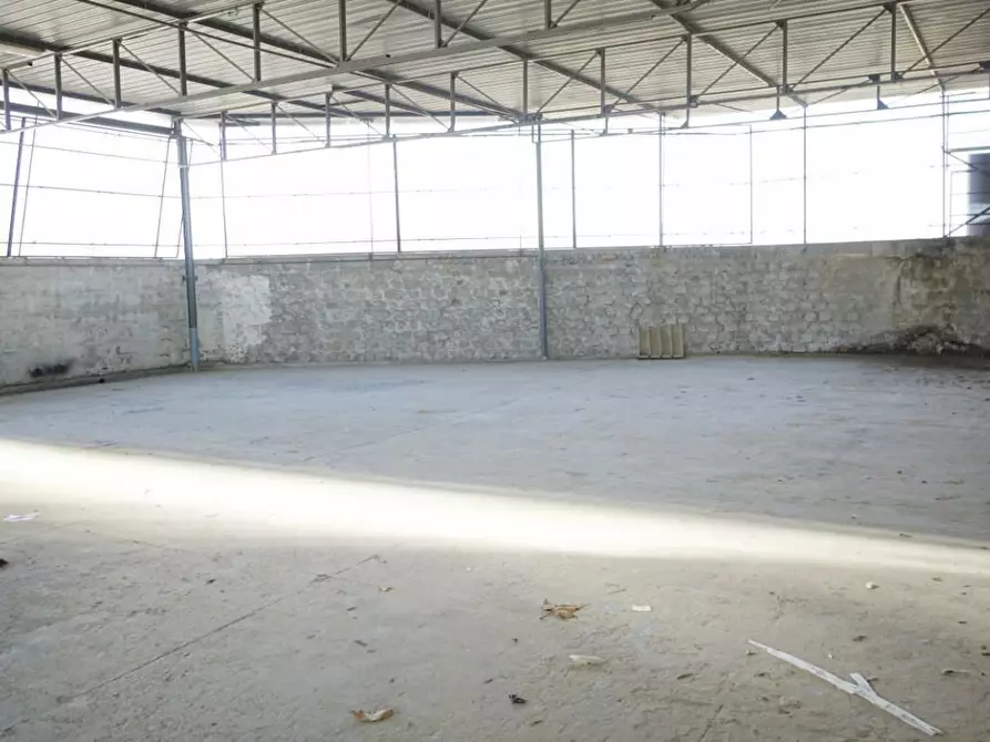 Immagine 6 di Magazzino in affitto  a San Giuliano Terme