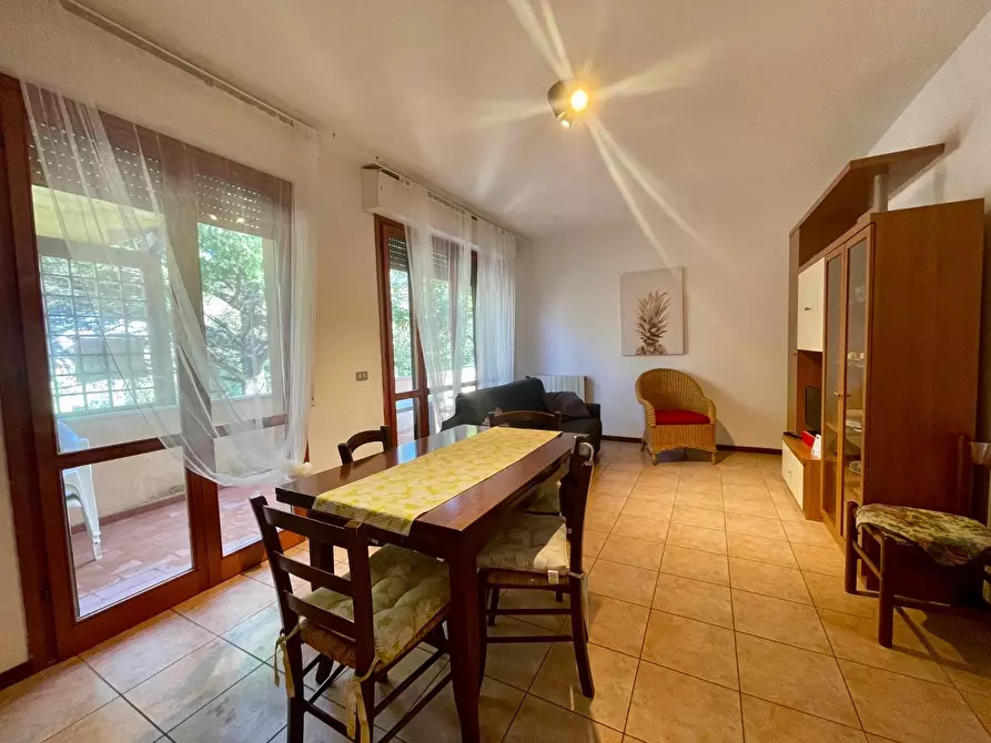 Immagine 2 di Appartamento in affitto  a Pisa