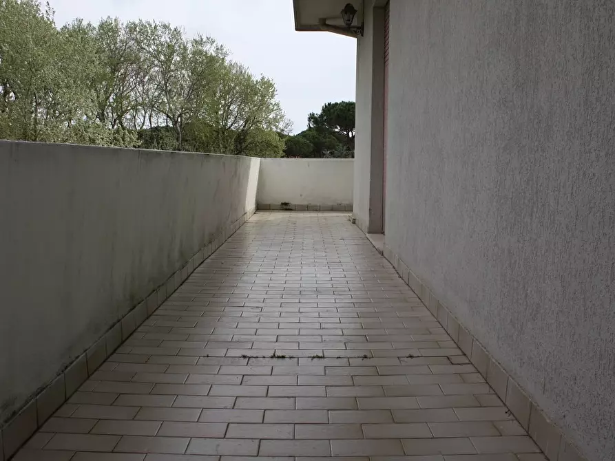 Immagine 13 di Appartamento in affitto  a Pisa