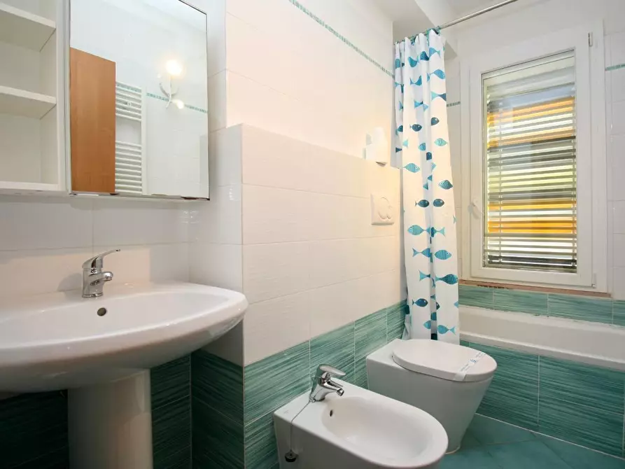 Immagine 11 di Appartamento in affitto  a Pisa