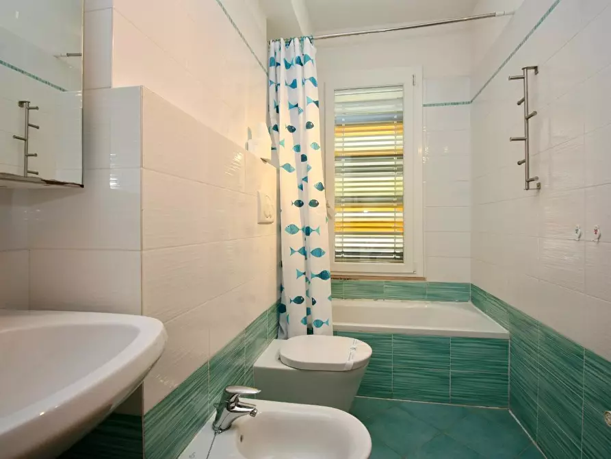 Immagine 12 di Appartamento in affitto  a Pisa