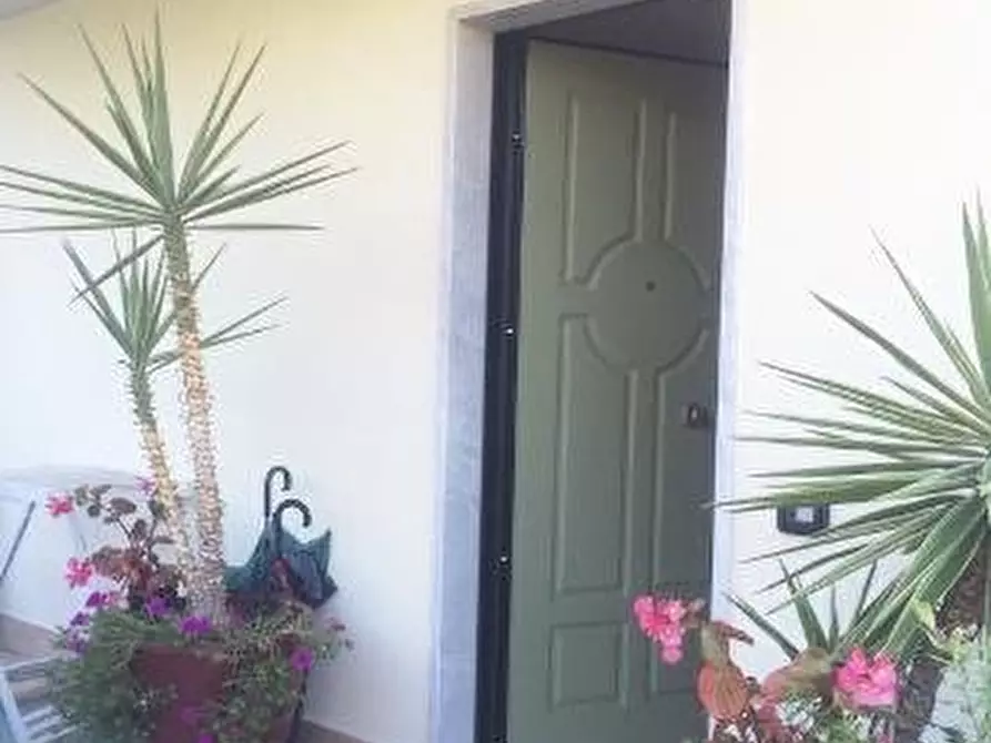 Immagine 6 di Casa trifamiliare in vendita  a Massa