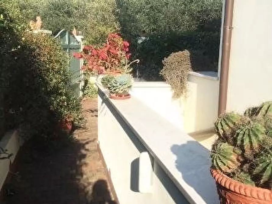 Immagine 8 di Casa trifamiliare in vendita  a Massa