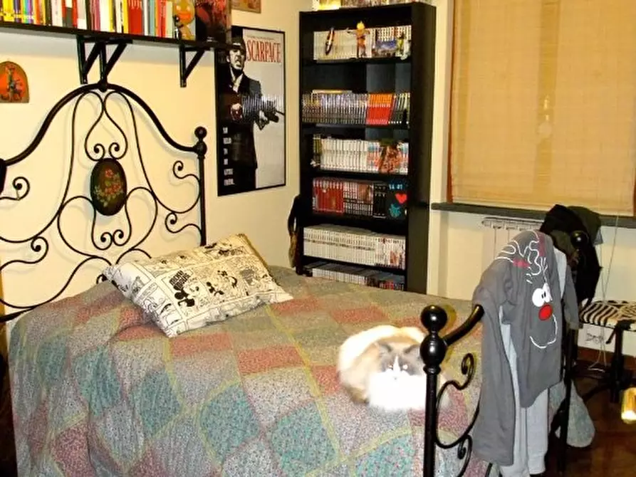 Immagine 12 di Capannone industriale in vendita  a Pisa