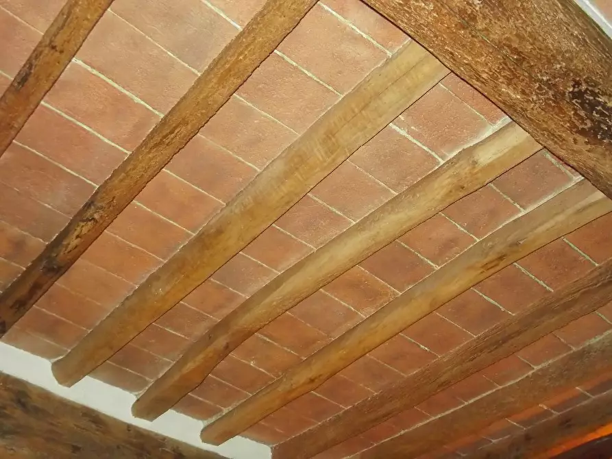 Immagine 11 di Appartamento in vendita  a San Miniato