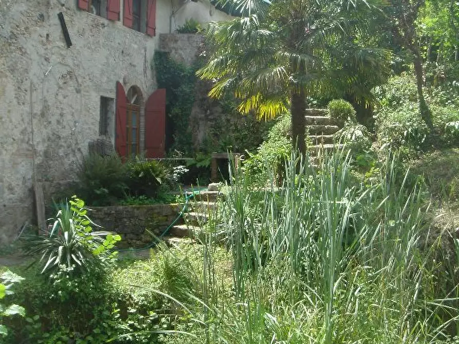 Immagine 16 di Rustico / casale in vendita  a Camaiore