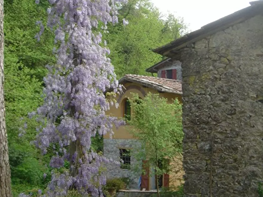 Immagine 9 di Rustico / casale in vendita  a Camaiore