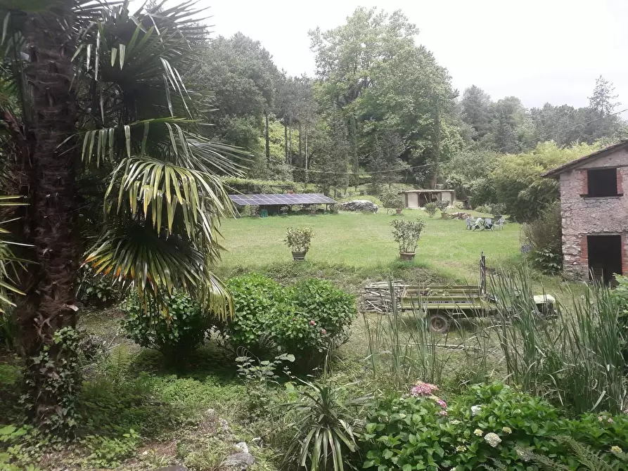 Immagine 41 di Rustico / casale in vendita  a Camaiore