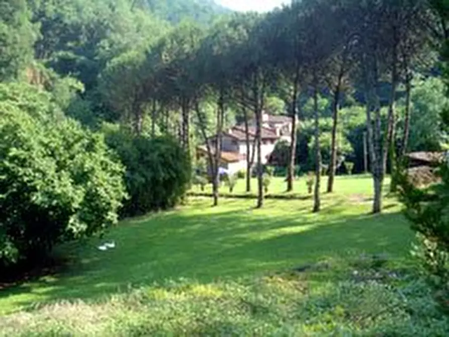 Immagine 5 di Rustico / casale in vendita  a Camaiore