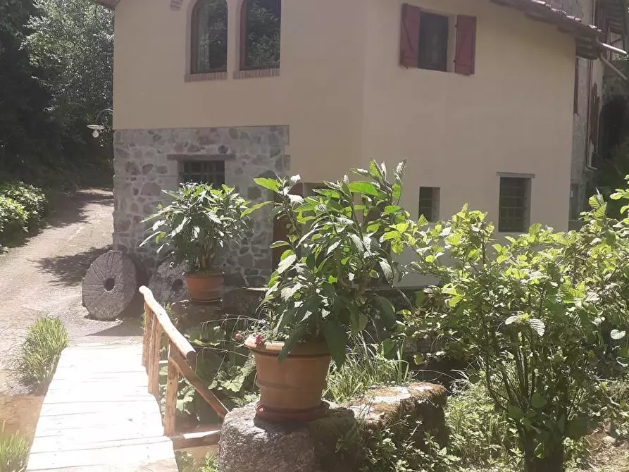 Immagine 51 di Rustico / casale in vendita  a Camaiore