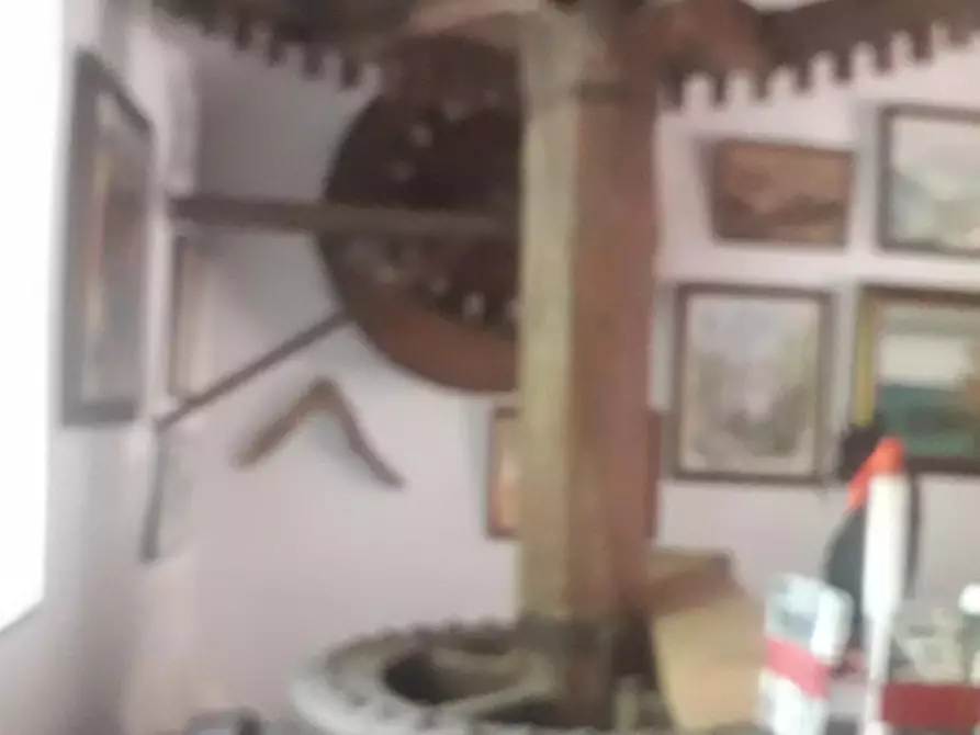 Immagine 53 di Rustico / casale in vendita  a Camaiore