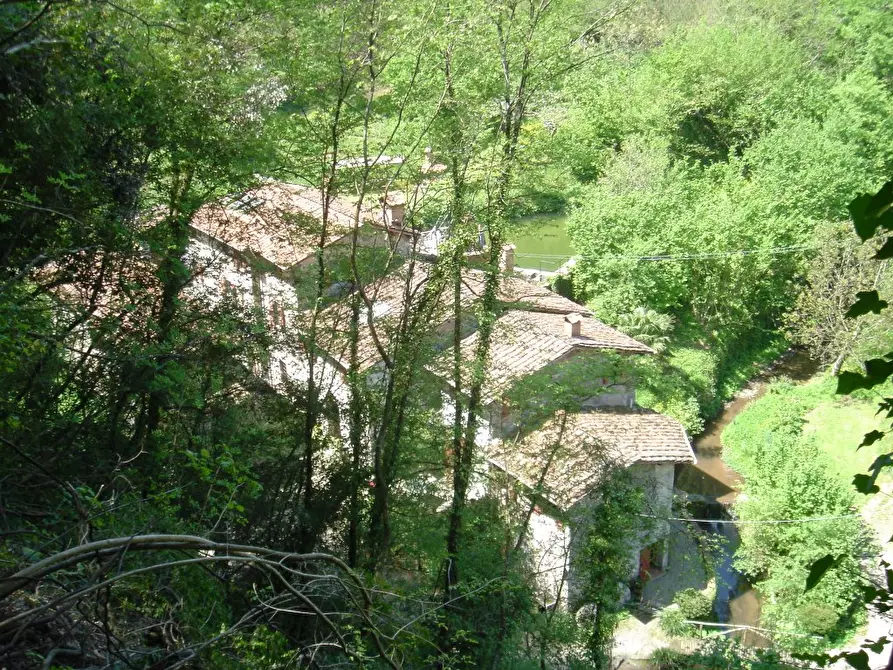 Immagine 17 di Rustico / casale in vendita  a Camaiore