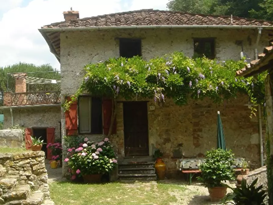 Immagine 7 di Rustico / casale in vendita  a Camaiore