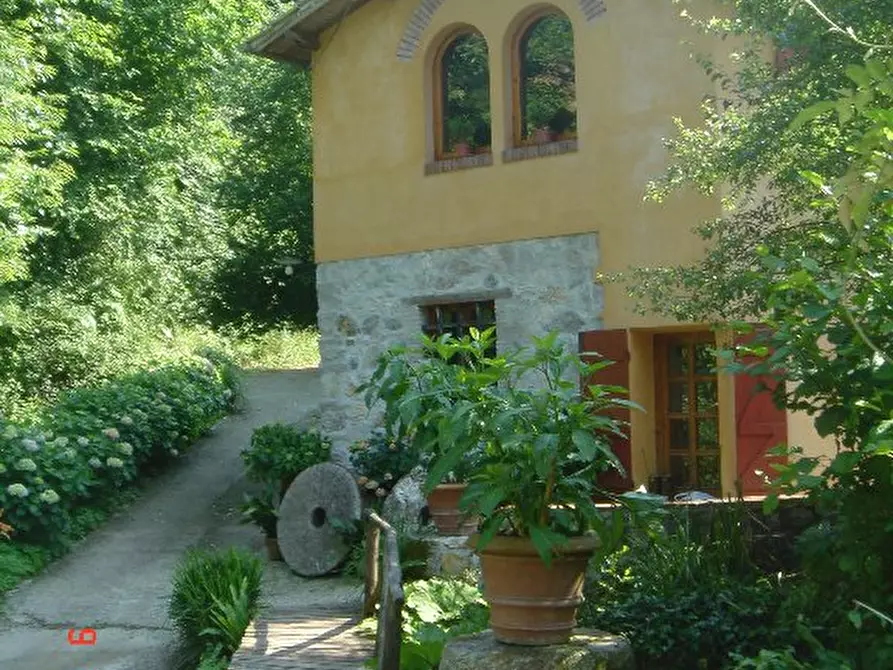 Immagine 22 di Rustico / casale in vendita  a Camaiore