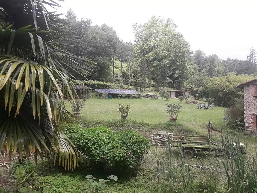 Immagine 40 di Rustico / casale in vendita  a Camaiore