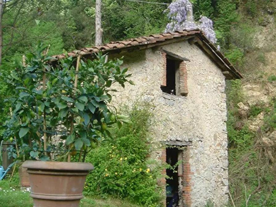 Immagine 10 di Rustico / casale in vendita  a Camaiore