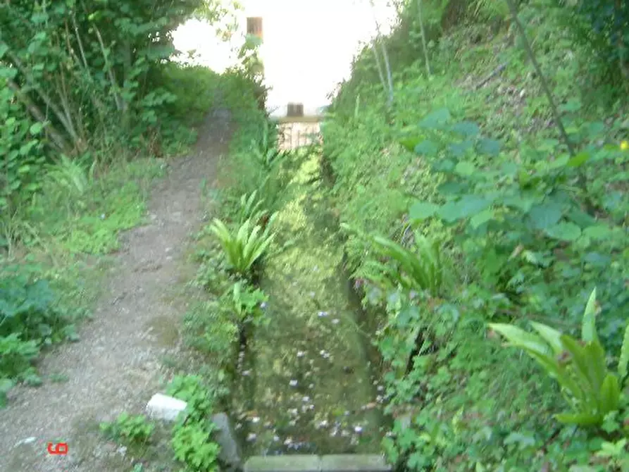 Immagine 28 di Rustico / casale in vendita  a Camaiore