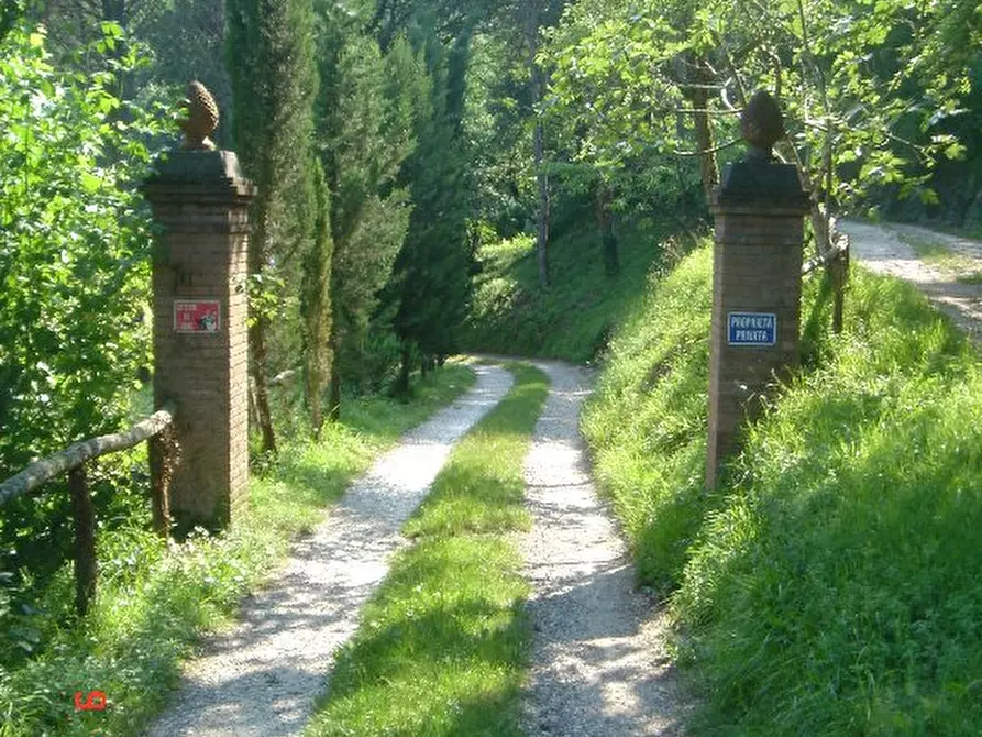 Immagine 27 di Rustico / casale in vendita  a Camaiore