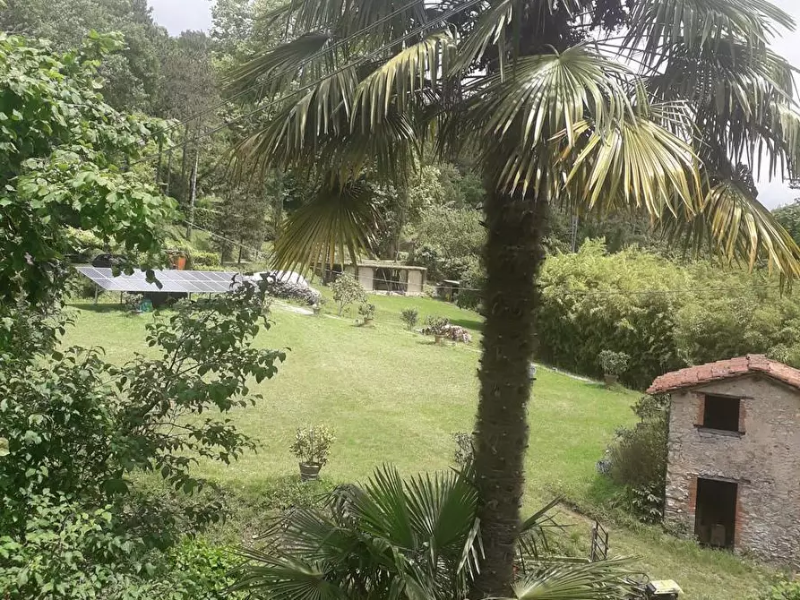 Immagine 44 di Rustico / casale in vendita  a Camaiore