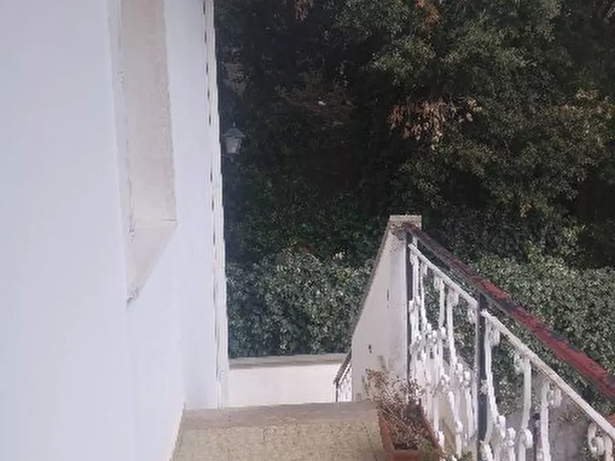 Immagine 5 di Appartamento in vendita  a Rosignano Marittimo